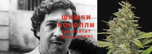гашиш Инта