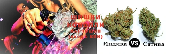 шишки Иннополис