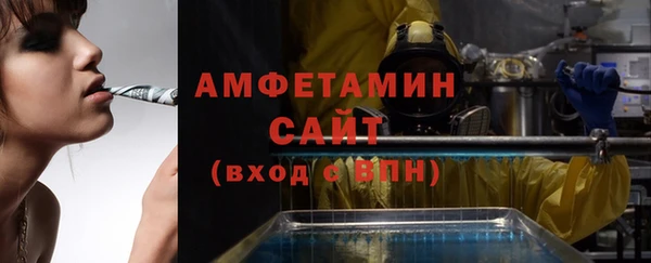 шишки Иннополис