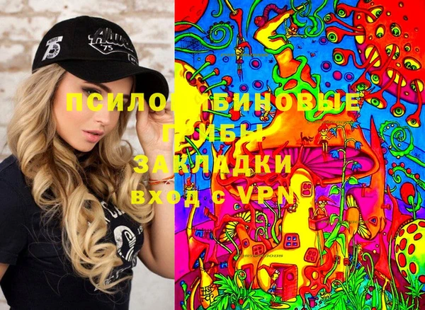 шишки Иннополис