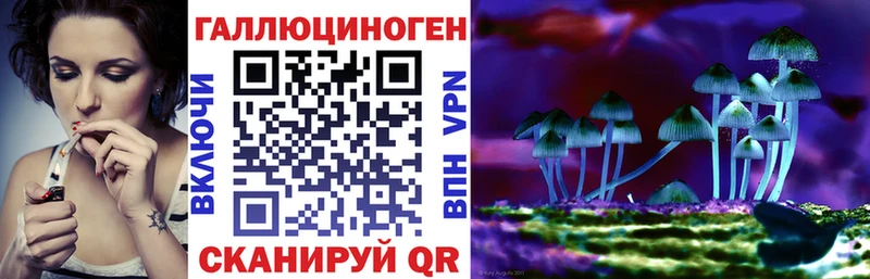 Галлюциногенные грибы Psilocybine cubensis  Купить где  Киренск 